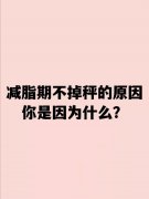 减肥怎么减掉...(减肥怎么减掉体脂)