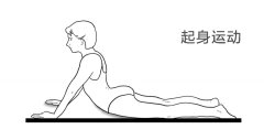 练腰部肌肉的方法图片(练腰部力量的动作图片)