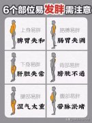 胳膊后背胖怎么减(胳膊粗后背胖怎么减肥)
