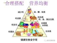减肥方法 资讯网站