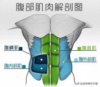 侧身卷腹器械使用方法(器械卷腹动作要领)