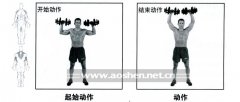 举哑铃的正确方法(举哑铃的正确方法)
