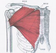久坐肚子大怎么减(久坐大肚子怎么减肥)