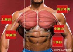 怎么样练虎口肌肉(怎么练虎头肌)