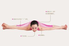 怎么拉伸小腿内侧韧带(怎么拉伸小腿内侧韧带疼)