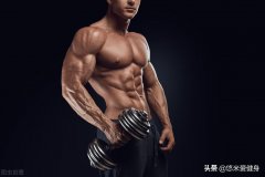 健身肩部训练方法(健身肩部肌肉锻炼方法)