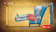 小腿围怎么测(小腿围怎么测量图片)