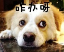 大基数瘦的慢怎么办(大基数却瘦得很慢)