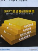 怎么系统的健身(怎么健康的健身)