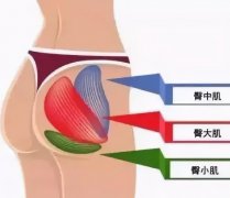 屁股扁平怎么办(屁股很平怎么办)