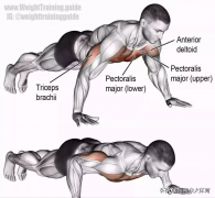 上肢训练方法(下肢训练器)