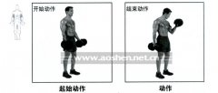 怎么用哑铃练手臂(怎么用哑铃练手臂和肩膀)