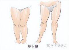 非运动瘦大腿的方法(不运动的瘦腿方法)