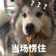 吸脂丰胸需多少钱(吸脂丰胸一般多少钱)